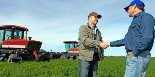 farmer loan in field image